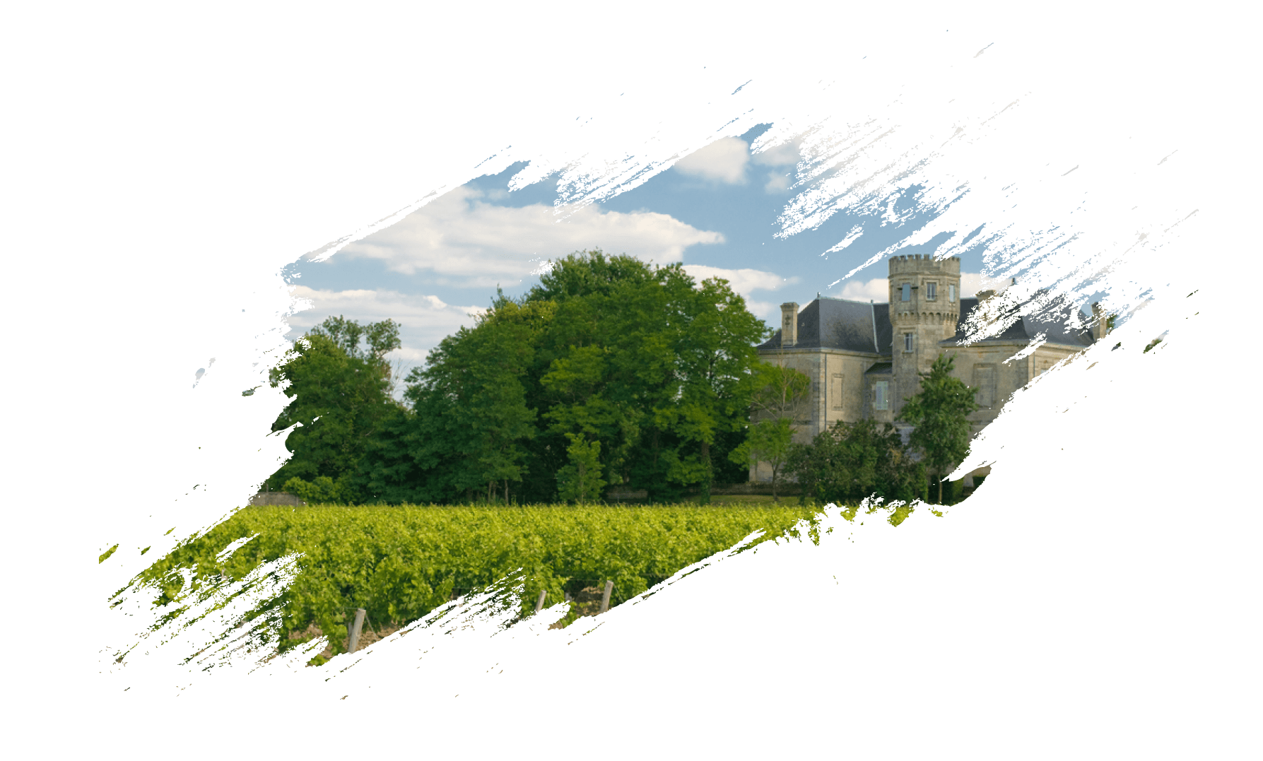 Chateau and vine rows at last light